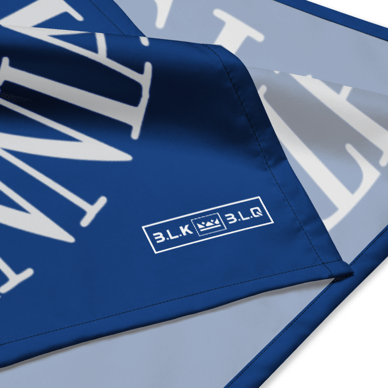 Bicentennial Print Scarf
