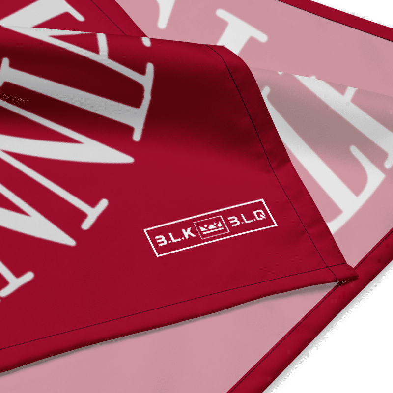 Bicentennial Print Scarf